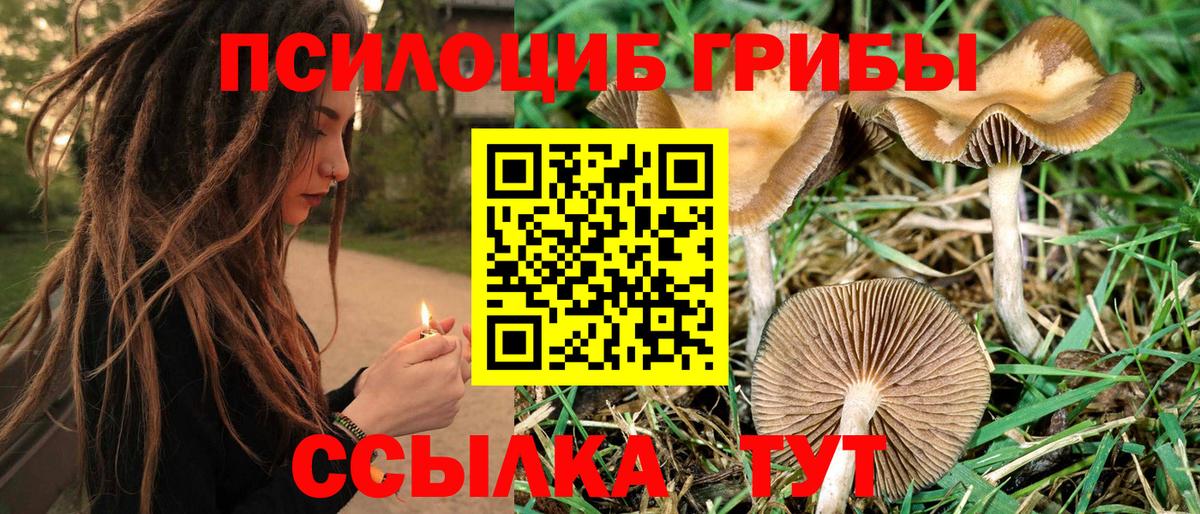Галлюциногенные грибы Magic Shrooms  Вход с VPN  Елабуга 